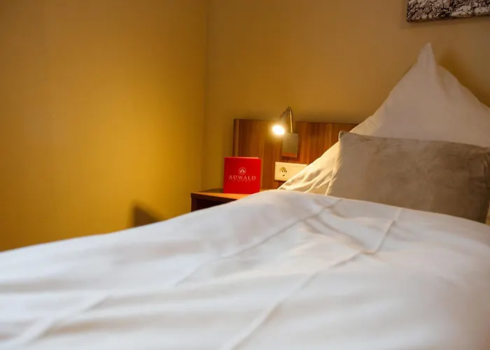 Hotel Auwald 3*